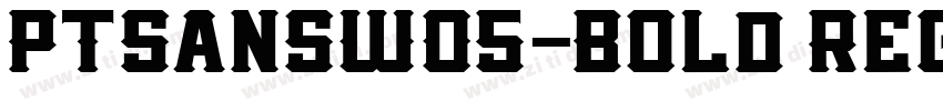 PTSansWO5-Bold Regul字体转换